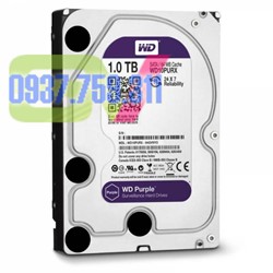 Hiển thị chi tiết cho Ổ cứng Western Digital Purple 1-2-3-4TB 64MB Cache chuyên dụng camera Hình ảnh của Ổ cứng Western Digital Purple 1-2-3-4TB 64MB Cache chuyên dụng camera