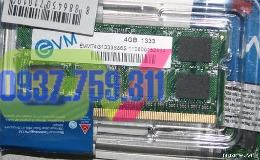 Hình ảnh của RAM Laptop EVM 2Gb DDR3 1333 BH 12 Tháng 